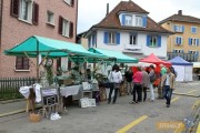 effifaescht_20150530_120931
