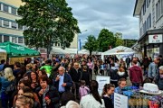 effifaescht_20150530_203025